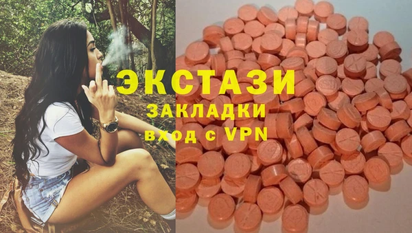 стафф Осташков
