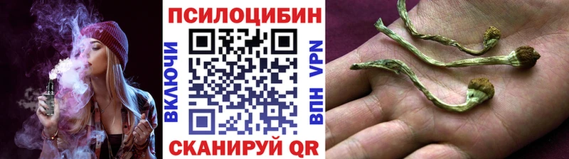 Псилоцибиновые грибы MAGIC MUSHROOMS  Сорочинск 
